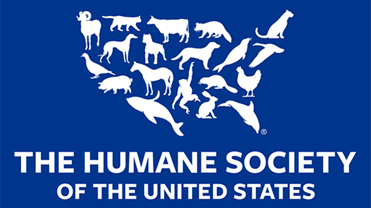 The Humane Society of the United States is offering a reward for information regarding a puppy tortured & thrown over a bridge in Macon, GA. 