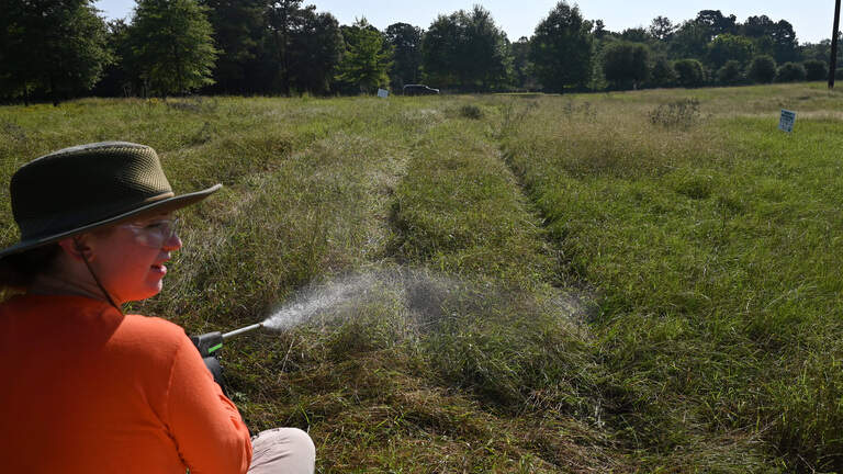 Amerson River Park project aims to replace invasive plants to improve habitat