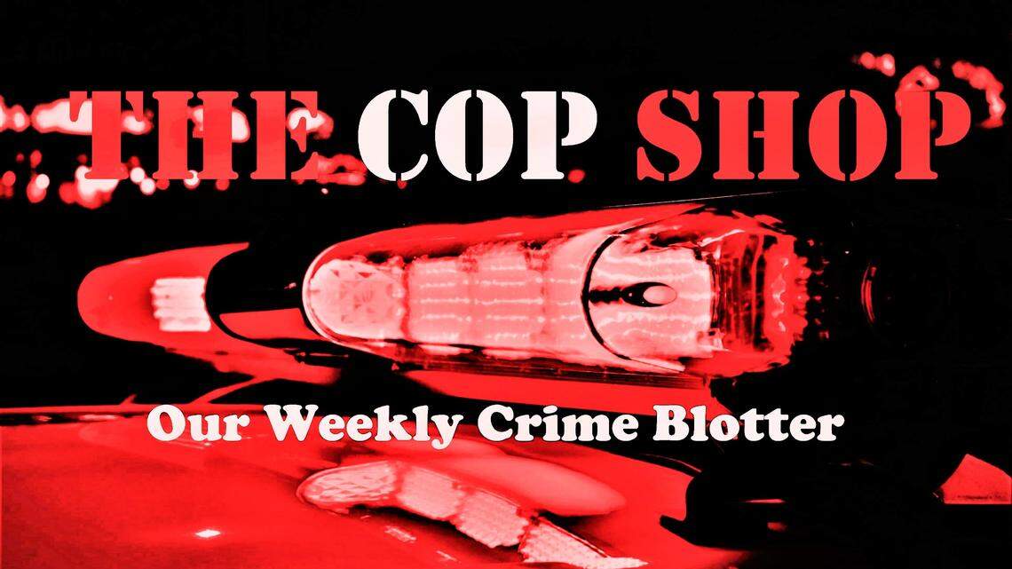 Spat over sticks for Middle Georgia man’s fire pit ignites rage, witness tells cops