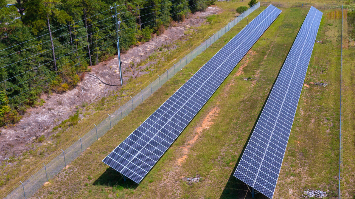 These solar panels are ground-mounted by the Animal Welfare Center.
