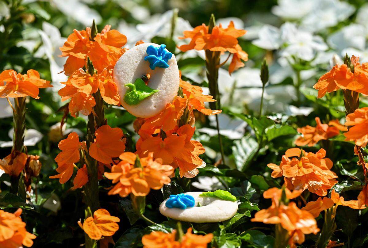 Flower cookies at Wilson’s Bakery in Warner Robins are a fan favorite.