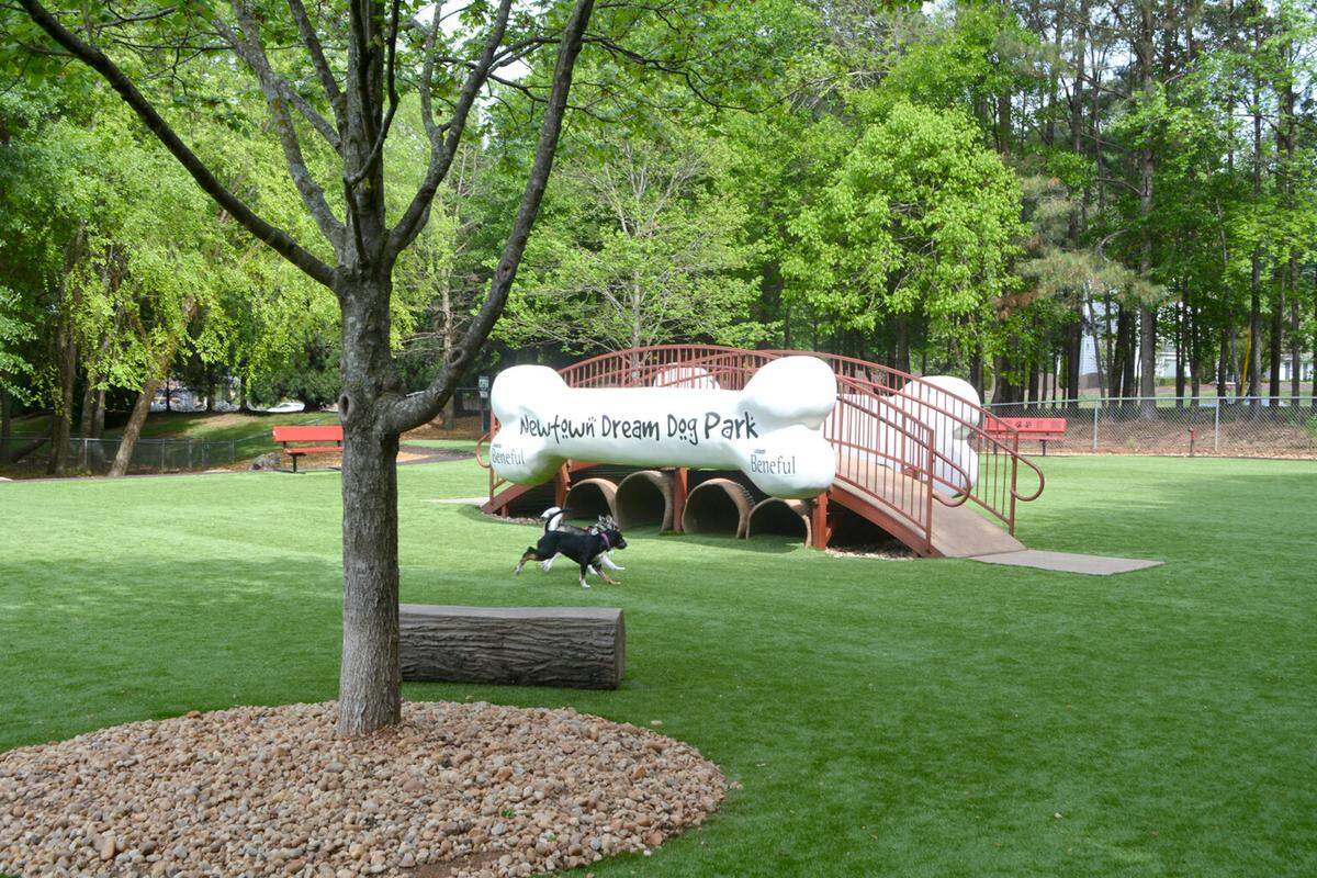 Newtown Dream Dog Park in Johns Creek, Georgia voted one of the best dog parks in the country by USA Today readers.