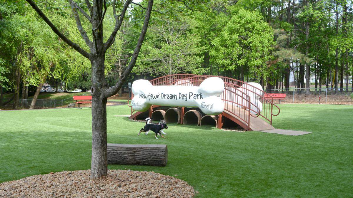 Newtown Dream Dog Park in Johns Creek, Georgia voted one of the best dog parks in the country by USA Today readers.