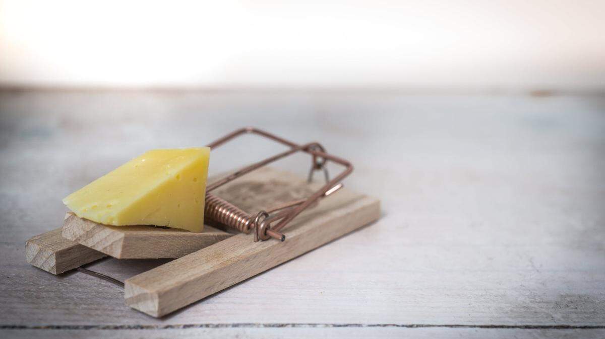 Which mouse traps are the best for GA homes?