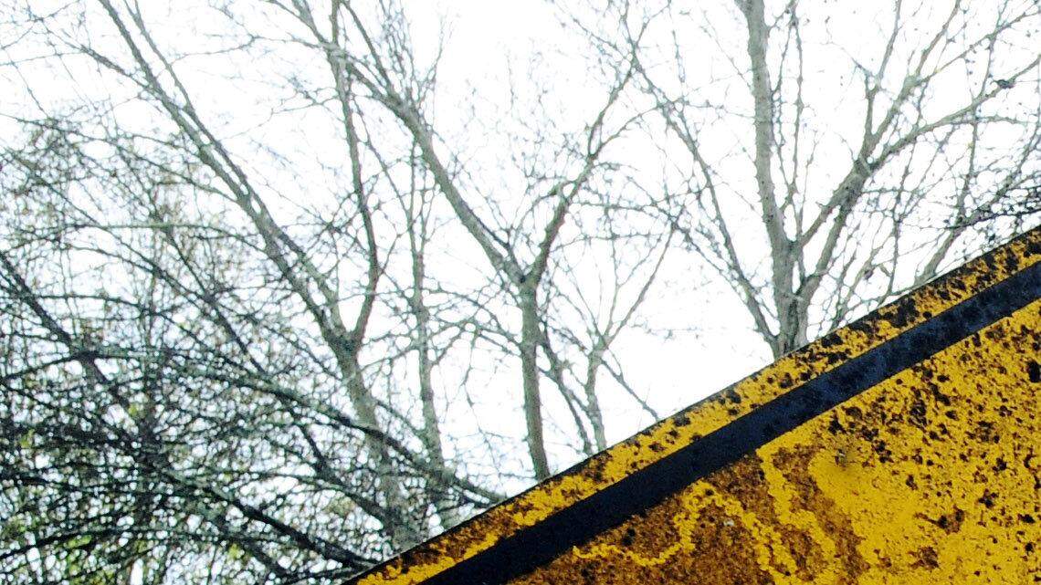 Expert: Blight has no clear definition