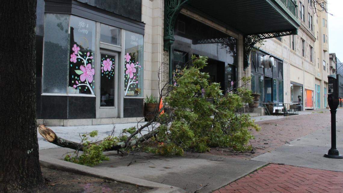 Downed trees or wires? How to report damage, hazards in Macon after Hurricane Helene