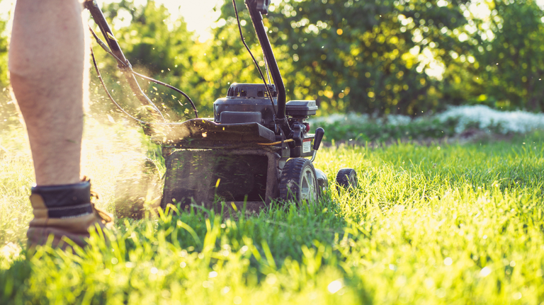 There is a best & worst time to mow your lawn in GA, exerts say. Here’s when and why