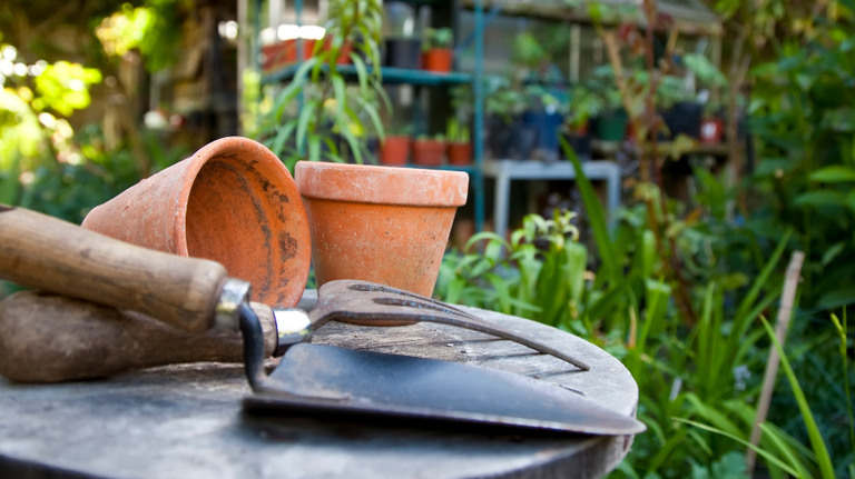 Naked gardening is a thing and Macon is one of the best cities for it, study says.