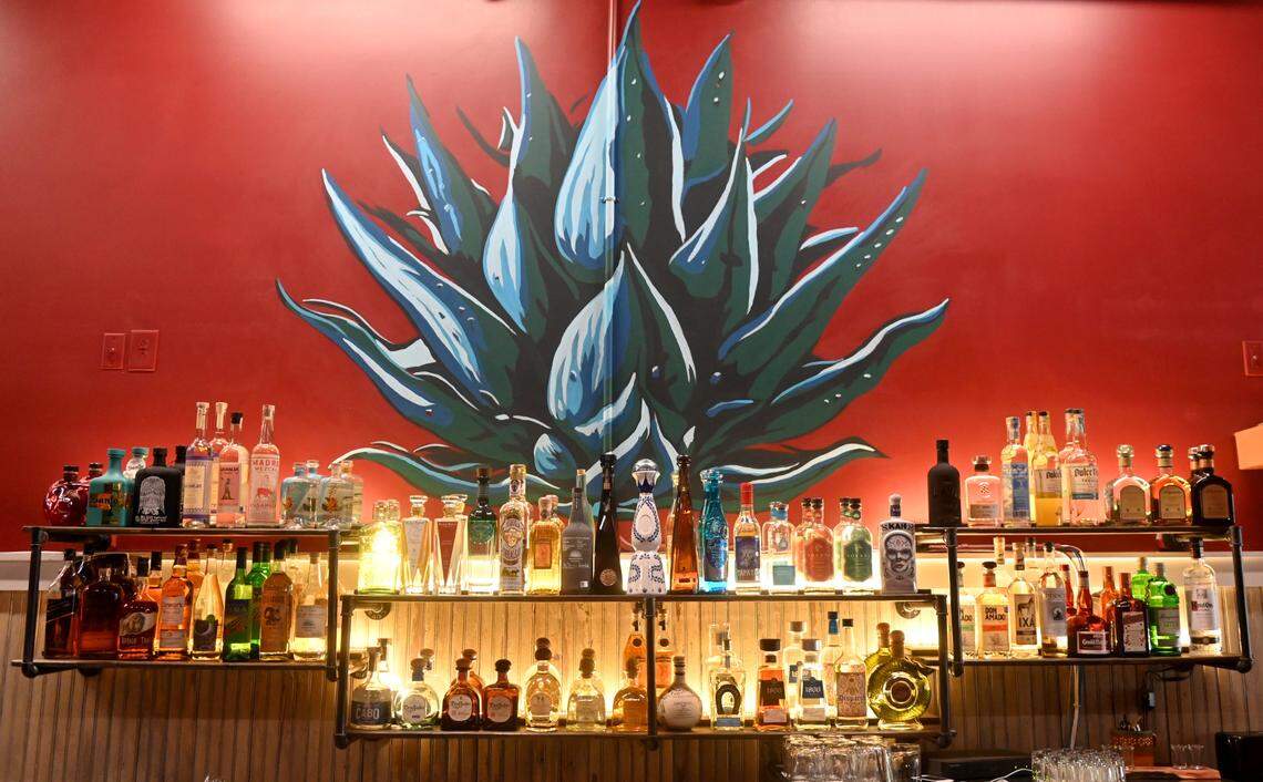 Selection of tequilas and mezcals available at The Daisy Tequila and Margarita Bar at 158 Cherry St. in downtown Macon.