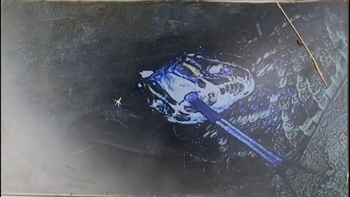 A routine turtle survey in rural Georgia went in a surprising direction when researchers sent a camera into a burrow and found a rattlesnake staring back at them.