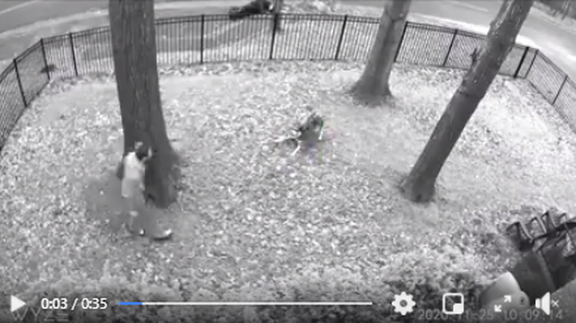 Video of exasperated Taylor Reed trying to get his dog inside on a cold day has been viewed more than 650,000 times on Facebook.