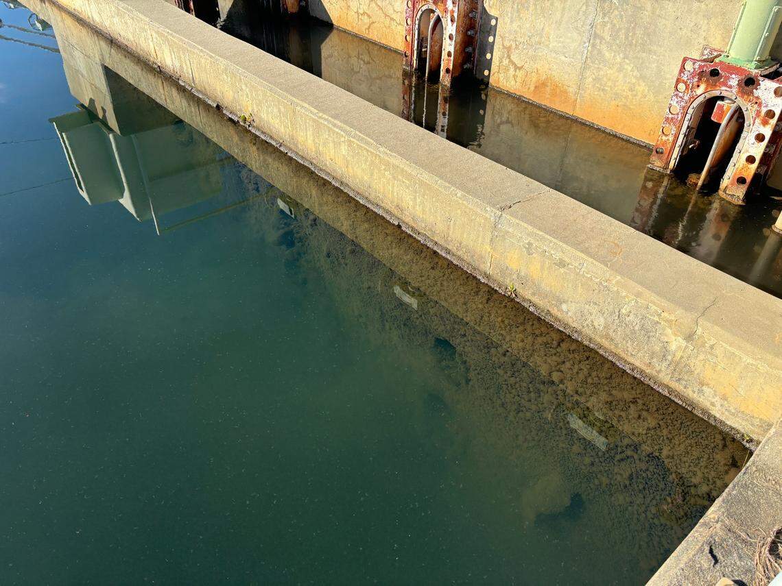 The almost fuzzy looking clumps, officially called ‘flocs’ are results of coagulation and flocculation, which separates unwanted particles from our water.