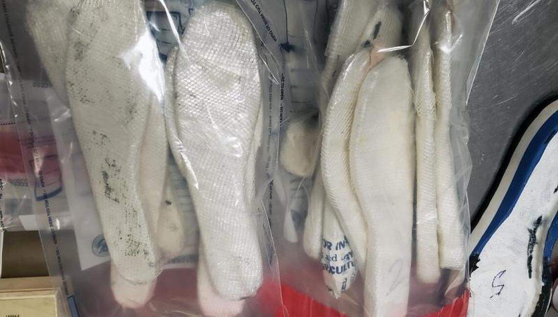 U.S. Customs and Border Protection says it found seven pairs of shoes with cocaine stuffed in the bottoms at a Georgia airport this week.