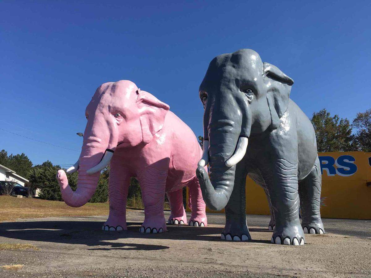 Giant elephants are the perfect Insta photo op.