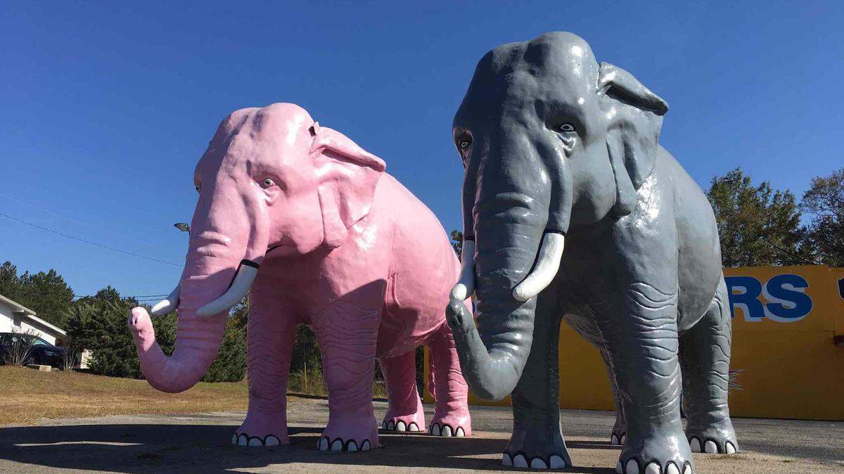 Giant elephants are the perfect Insta photo op.
