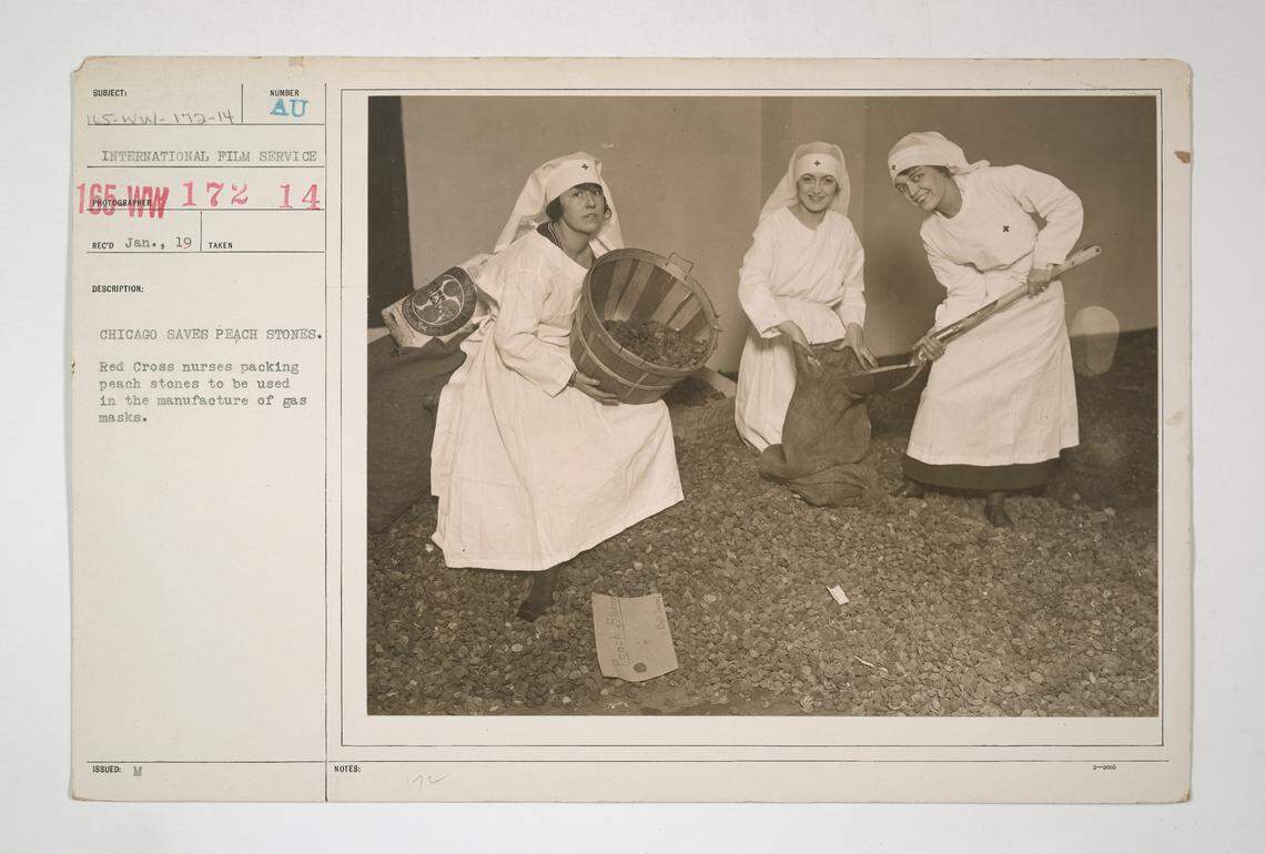 Chicago saves peach stones— Red Cross nurses packing peach stones to be used in the manufacturing of gas masks on Jan. 19, 1918.