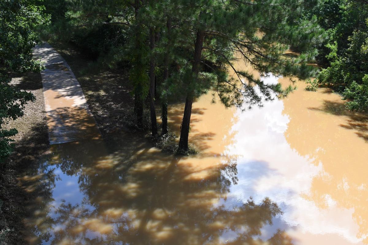 The area around one of the paved trails at Amerson River Park sits flooded after the effects of Hurricane Helene on Monday, Sept. 30, 2024, in Macon, Georgia. The park is closed until further notice as many of its trails have flooded from the increased rainfall of Hurricane Helene last week.