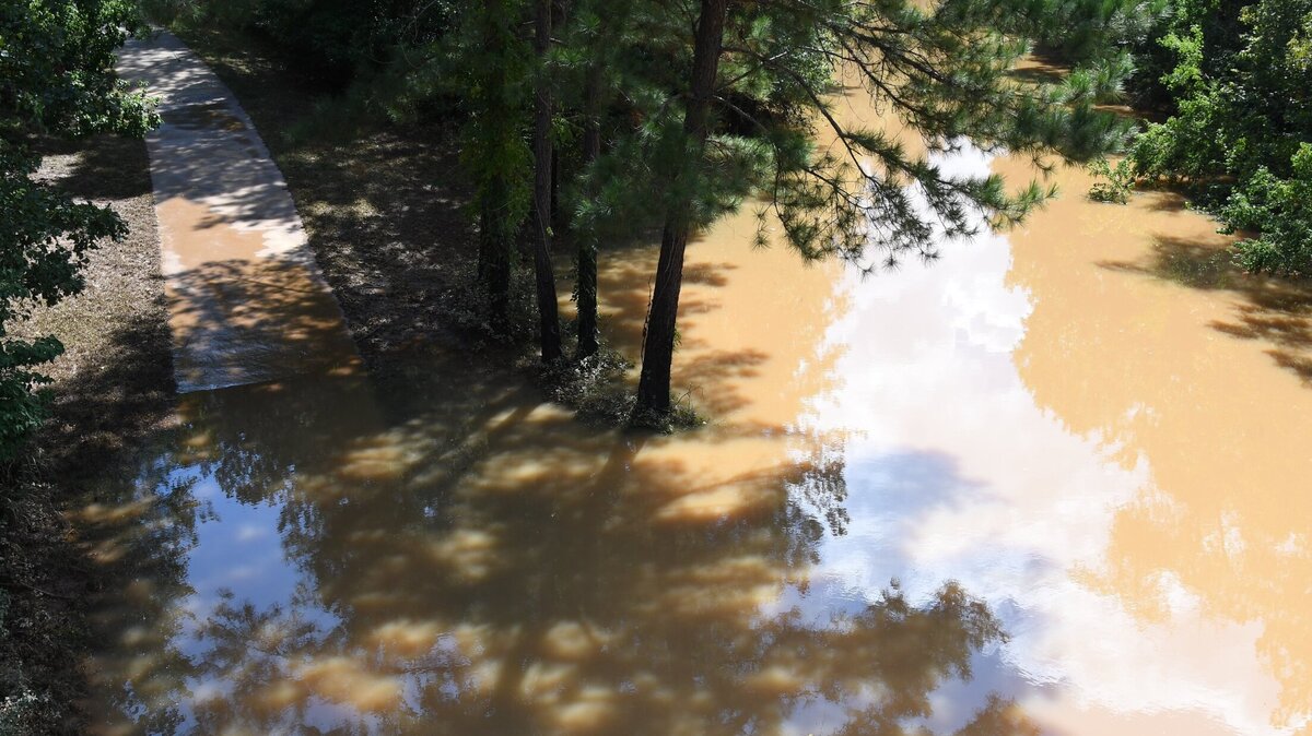 The area around one of the paved trails at Amerson River Park sits flooded after the effects of Hurricane Helene on Monday, Sept. 30, 2024, in Macon, Georgia. The park is closed until further notice as many of its trails have flooded from the increased rainfall of Hurricane Helene last week.
