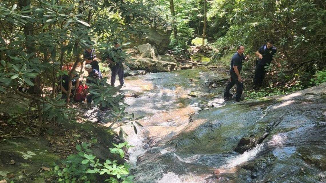 A hiker died after falling from a Georgia waterfall, authorities say.