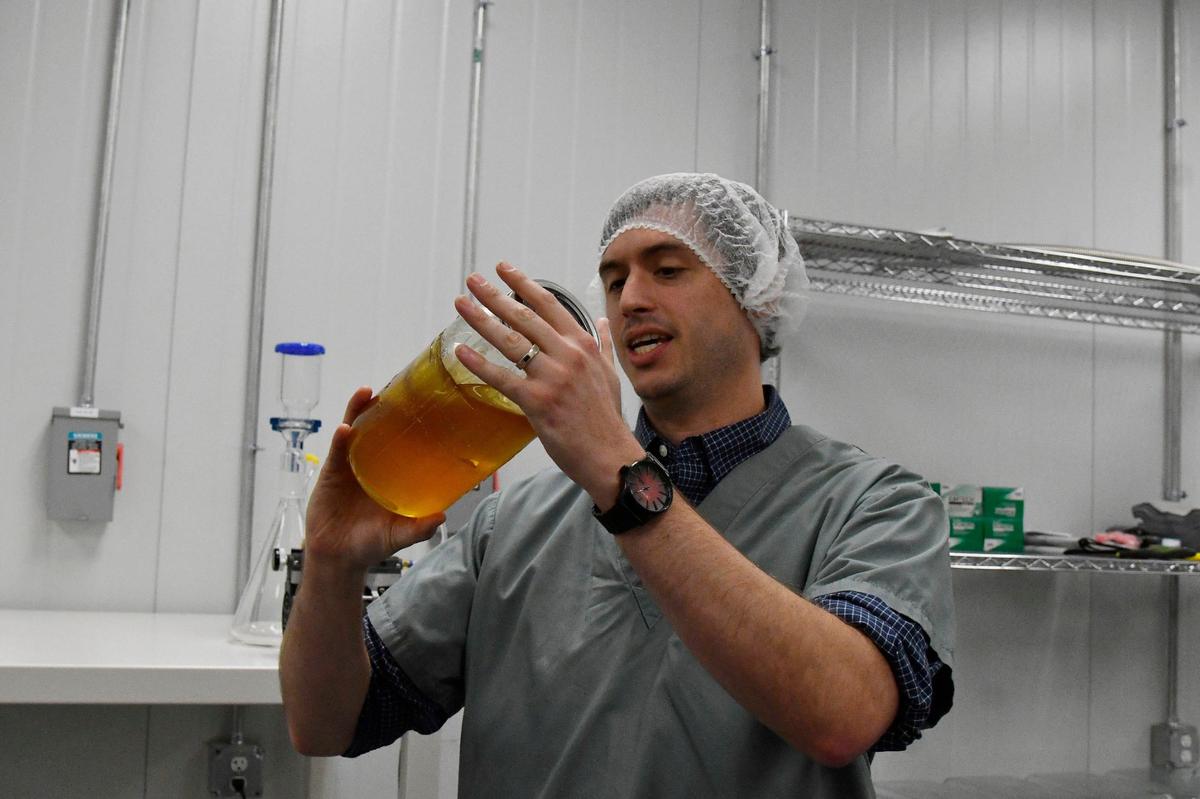 Will Kacheris holds a vacuum sealed container of THC extracted from cannabis plants while giving a tour of the Fine Fettle cultivation and extraction facility on Wednesday, May 29, 2024, in Macon, Georgia. Around 80 cannabis plants were extracted to fill the container, which forms a thick syrup substance when cooled.