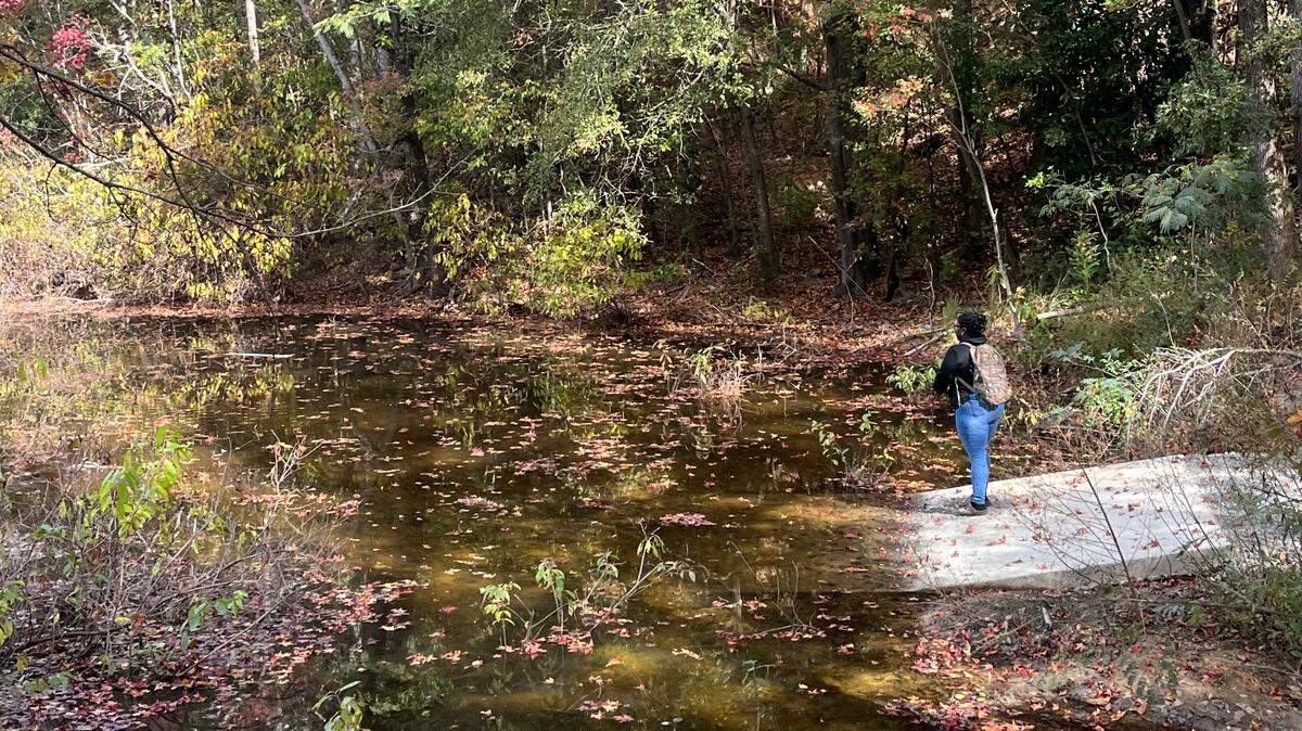 Macon resident Nulona Gordon went fishing at Cliffview Park in Macon, Ga. to relax on her day off of work from Walmart on Thursday, Oct. 31, 2024.