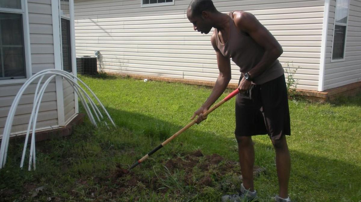 Get your garden workout going with the beginning of the 2017 vegetable gardening season.