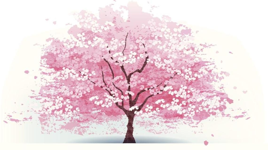 Cherry Blossom Festival haiku