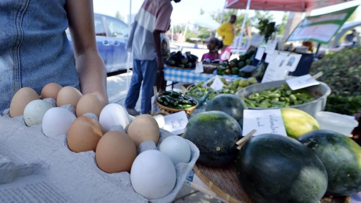 Celebrate Earth Day on April 19 with special activities at the weekly Mulberry Market, located in Tattnall Square Park.