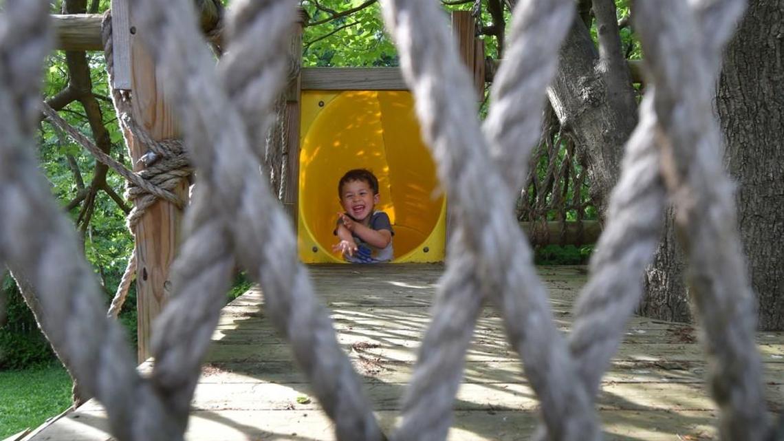 With elaborate treehouses on the rise, they’re still a labor of love