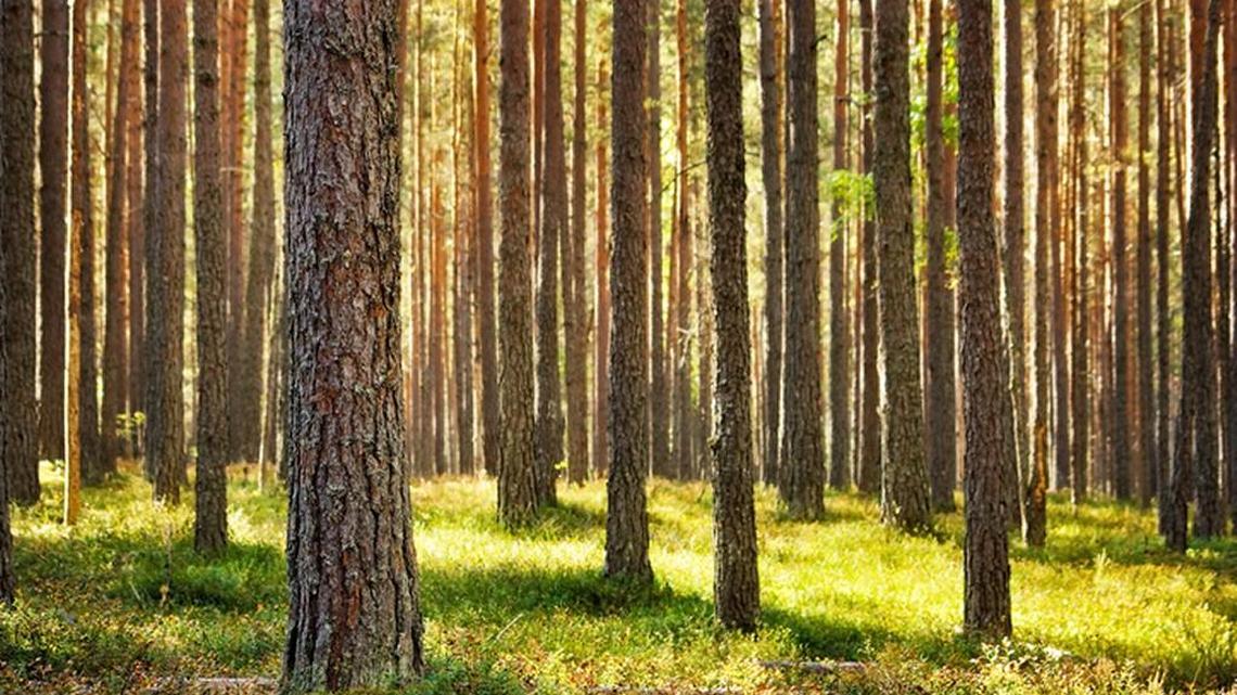 Drought effects likely to linger this spring