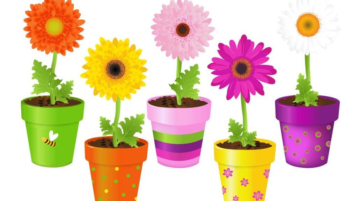 How to shop for a plant that’s hard to kill