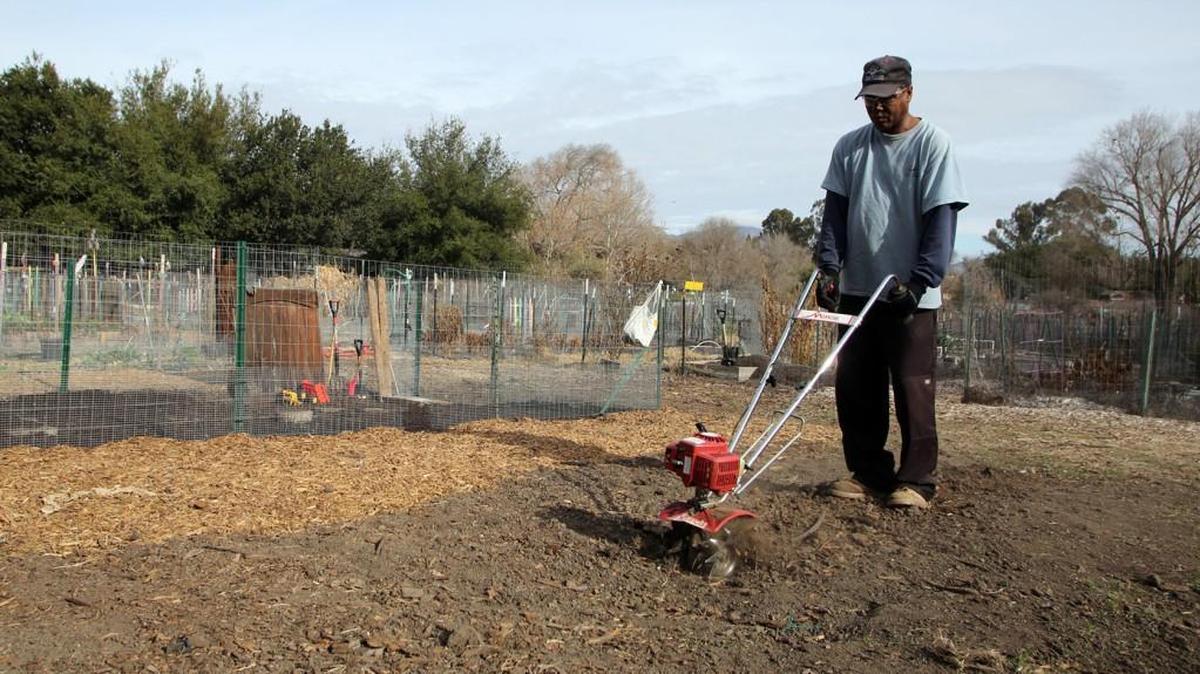 Although it goes against long-held ideas about the need to till the soil, no till gardening is beginning to catch on as a method that’s best for healthier soil.