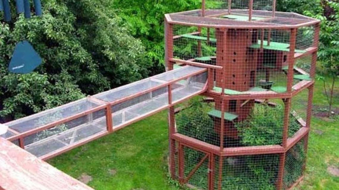Me-wow! Don’t call it a cage — it’s a catio