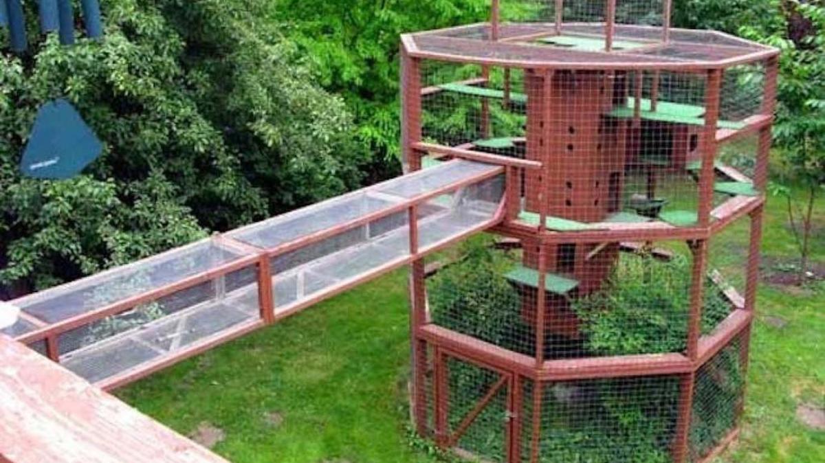 This is a multi-leveled structure from Dennis “Cathouse Man” Gallagher’s catio in Monroe, Washington.