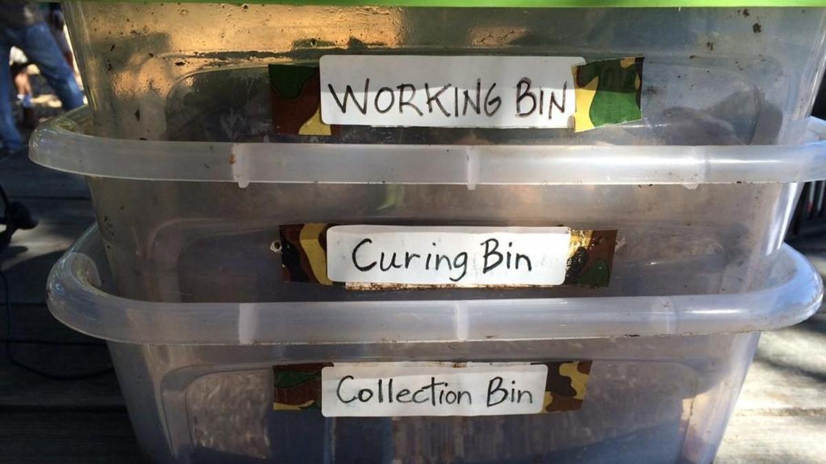 This is a three-bin worm composting system.