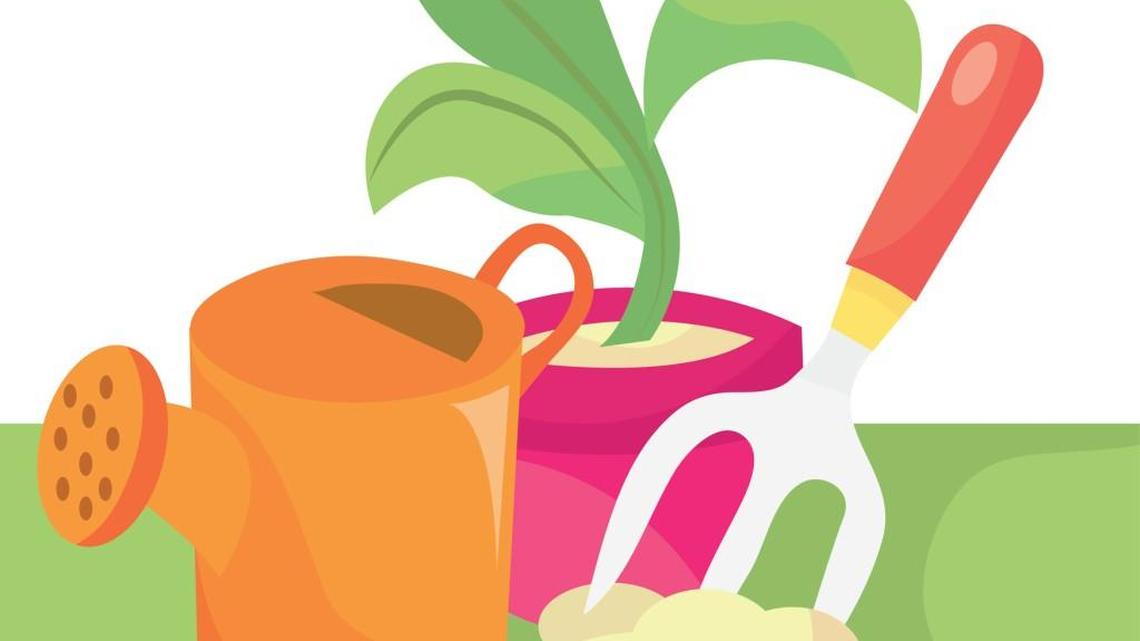 27 great tips for novice gardeners