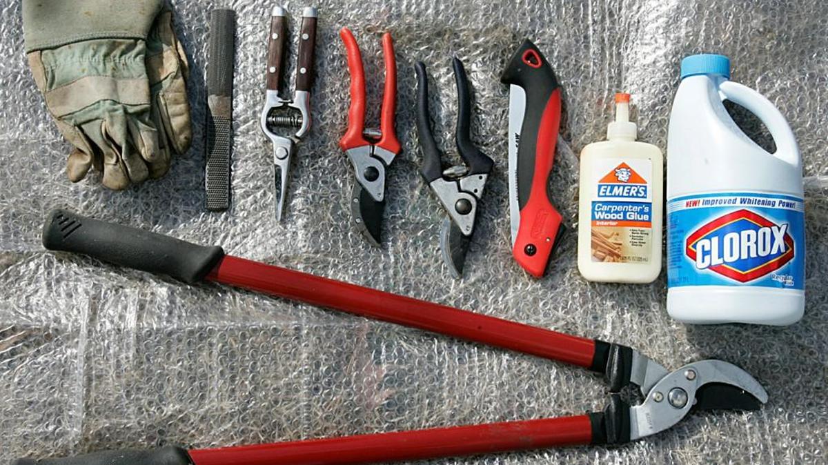 Tools for pruning include gloves, a sharpener, a hand saw, bleach and an assortment of pruning shears.