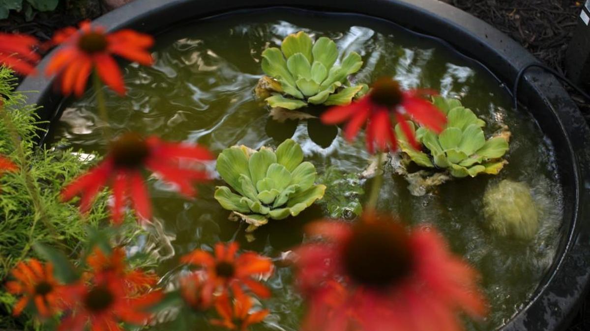 There are fountains for every budget and every type of home.