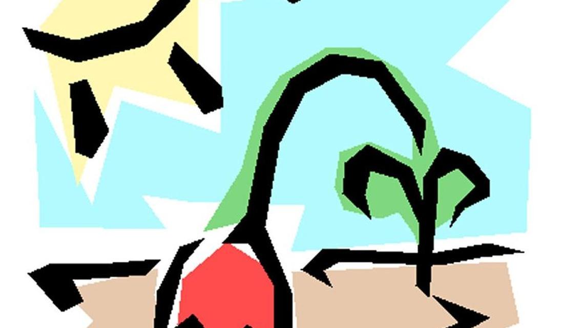 Protect flowering plants from withering heat