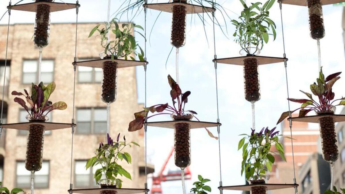 California designer Michael Zick Doherty helped create this vertical hydroponics system.
