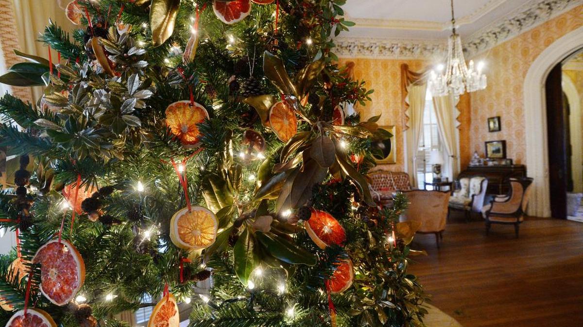 Tree in double parlor is decorated with dried ruby red grapefruit and other citrus fruits by Collin Holder and David Quackenbush.