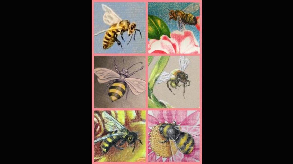 A spring message that was meant to bee