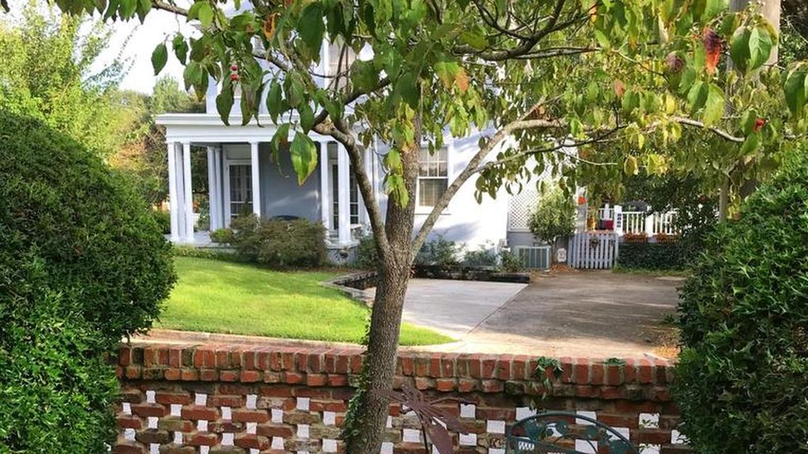 A dogwood tree filled with memories