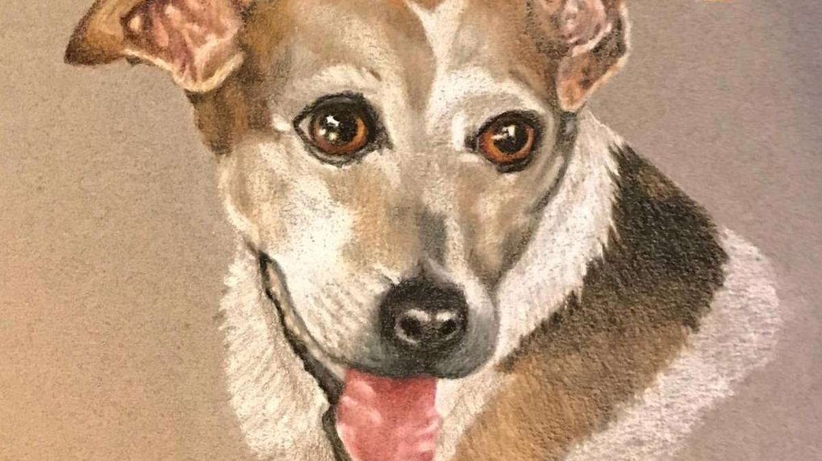 Mark Ballard made this color pencil drawing of Eli, a Jack Russell terrier.