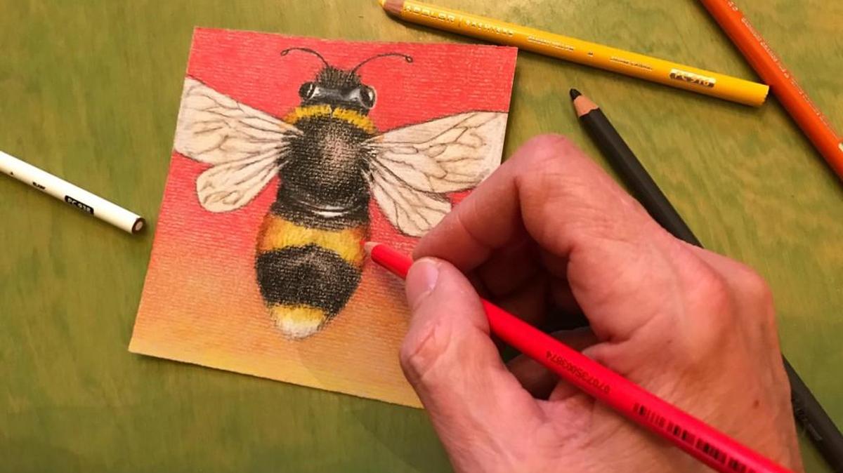 Mark Ballard’s New Year’s Day bee drawing.