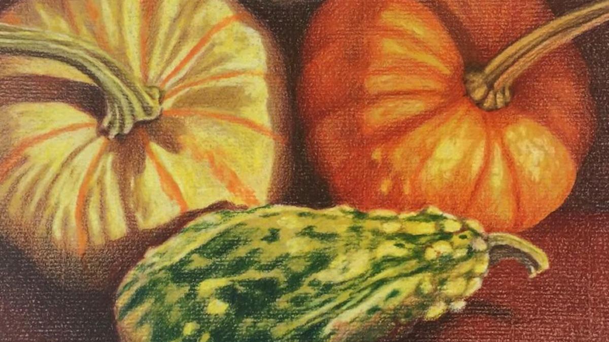 Mark Ball drew this collection of pumpkins and other gourds.