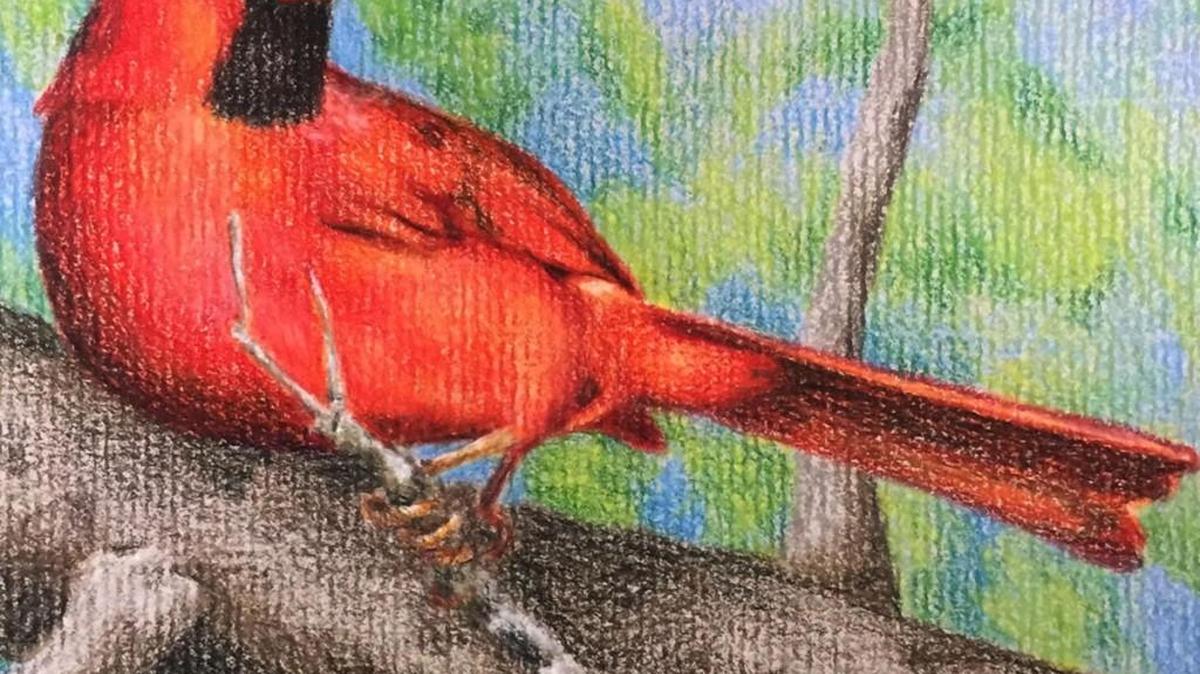 Mark Ballard’s painting of a confident red bird.