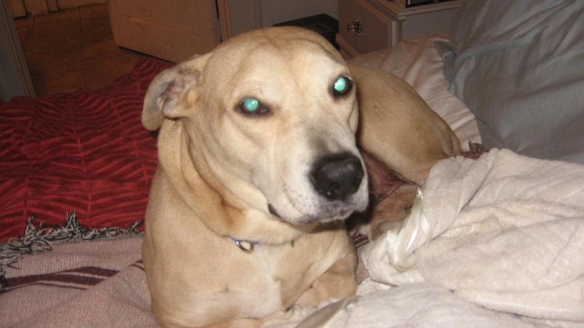 These three authors deserve a treat