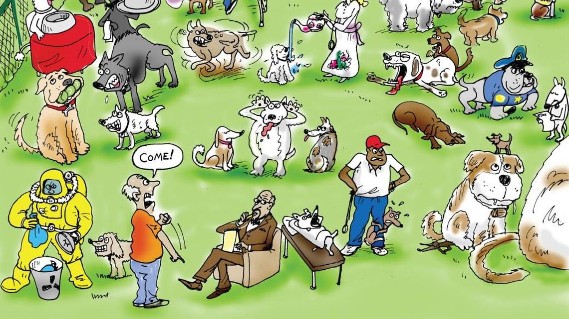 Thank you for what you did to help feed needy pets