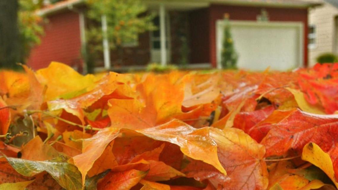 Start of fall a good time to prepare you pet for months to come